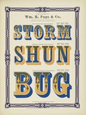 Storm Shun Bug Chromatic Type